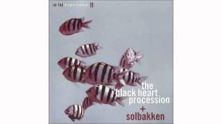 The Black Heart Procession + Solbakken - Dog Song - In The Fishtank 11