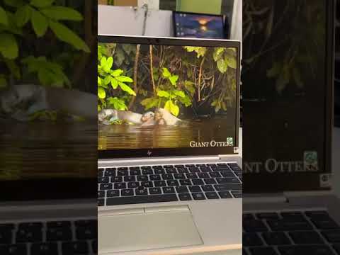 E3380 Refurbished Dell latitude Laptop