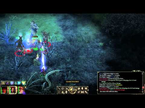 Pillars Of Eternity - Who needs a full party for Potd? part 8 - The Dweller