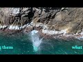 The Cliff Divers of La Quebrada, Acapulco