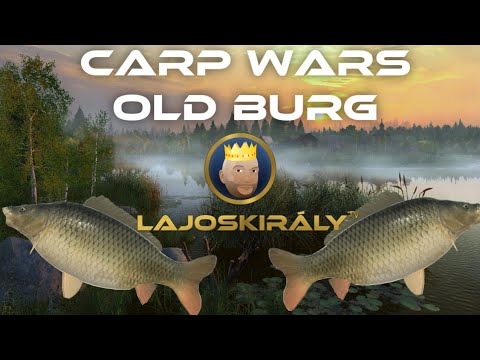 Carp Wars - Ponty verseny Oldon | Russian Fishing 4 HUN gameplay