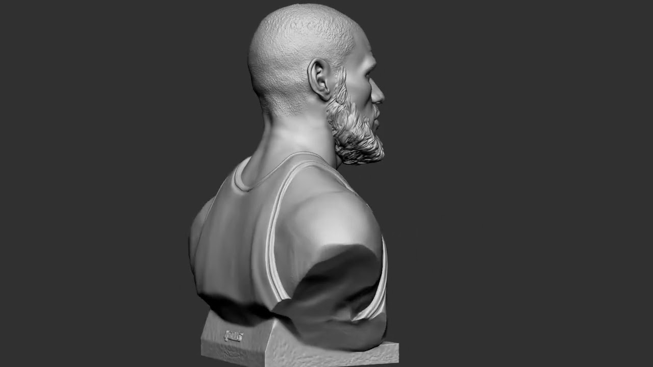 Lebron James 3D Print Model