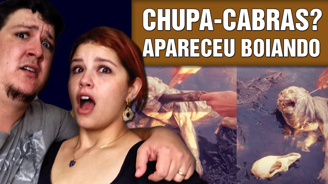 Chupa-cabras? Estranho Corpo de Animal Encontrado no Paraguai (#252 - Notícias Assombradas)