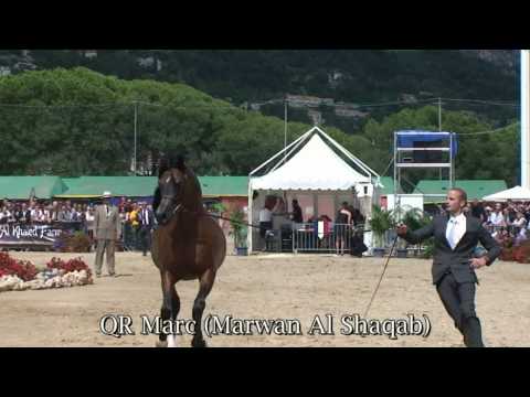 Menton giugno 2010 Stalloni da 4-8 & 9+.mp4