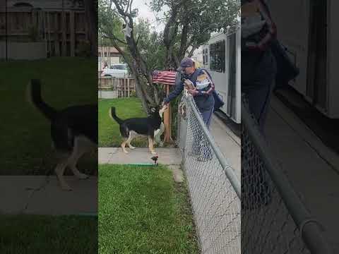 МИЛАЯ ТРАДИЦИЯ ПОЧТАЛЬОНОВ