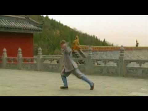 Shi de Yang - Shaolin Xiao Hong Quan