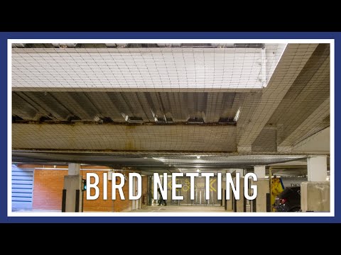 Bird Netting