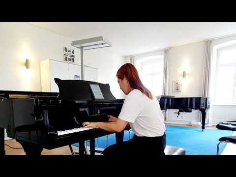 W. A. Mozart - Der hölle Rache kocht in meinem Herzen(Die Zauberflöte) Accompaniment/Karaoke 피아노 신예원