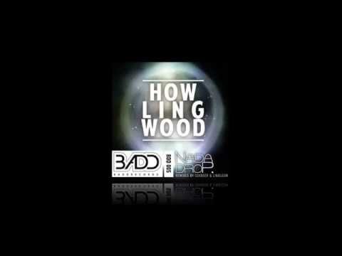 NaDaDrop - Wood Party (Sovnger On Acid Remix)