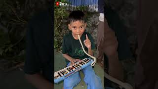 Download lagu Pianika Rem Truk SULAWESI 😂😅🤣 #truksulawesi #trukoleng #pianikabasuri #teloletbasuri #shortvideo mp3