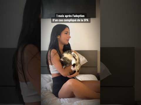 Les côtés moins mignon d’une adoption à la SPA