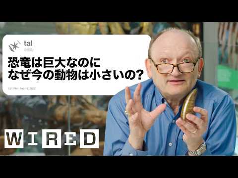 "恐竜博士 "だけど質問ある? | 技術支援 | WIRED.jp (”恐竜博士”だけど質問ある? | Tech Support | WIRED.jp)