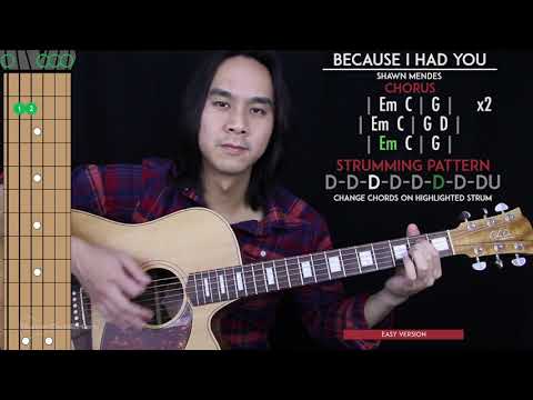 Because I Had You Guitar Cover Acoustic - Shawn Mendes  🎸 |Tabs + Chords|