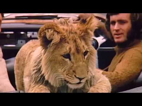 A lion called Christian   The whole Documentary Full length