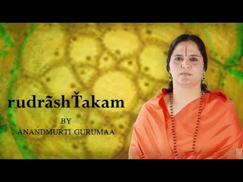 Shiva Stuti Stotra - Rudrashtakam Stotram - Namami Shamishaan