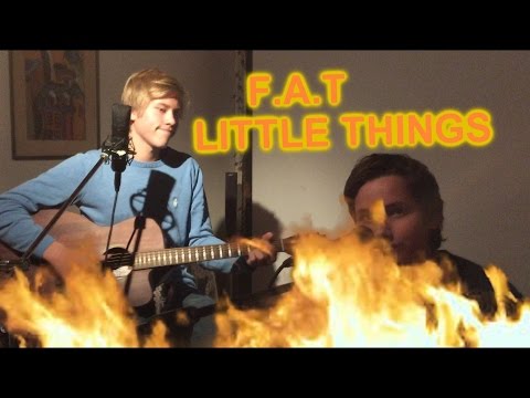 F.A.T - Little Things (Cover)