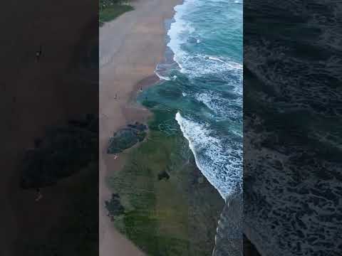 O lugar perto de Salvador que parece outro mundo 🌴 | Busca Vida Bahia