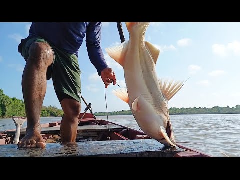 MUITA FORÇA, PESCARIA DE ESPINHEL ROSÁRIO MARANHÃO..