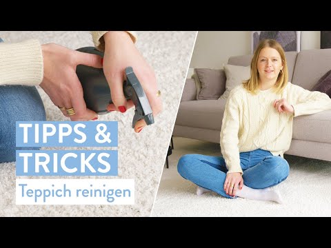 , title : 'Einfach und schnell: Teppich reinigen | Tipps & Tricks | Westwing'