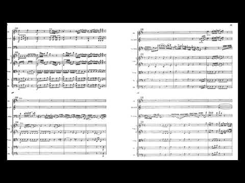 F. J. Haydn | Cello Concerto in D Major |  Score Video