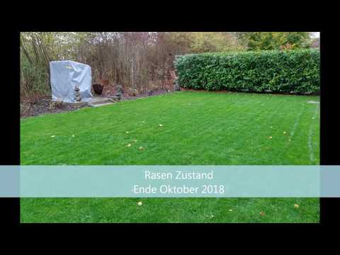 Rasen Sanierung ohne Umgraben