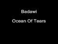 New Age -- track 8 of 8 -- Badawi -- Ocean Of Tears