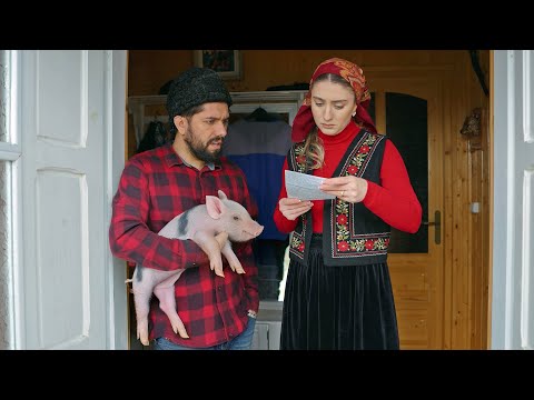 IMPOZIT PE PORCI #3chestii