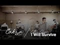 Gloria Gaynor - I will survive ( cover lagi )