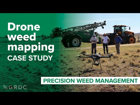 Drone weed mapping case study: Precision weed management