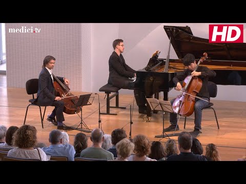 Master Class with Gautier Capuçon - Schubert: Sonata, "Arpeggione"