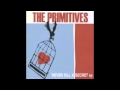 The Primitives - Never Kill a Secret