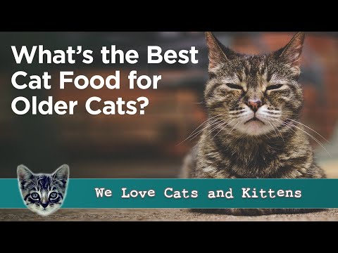 Best Cat Food for Older Cats - Senior Cat Food Reviews and Guide