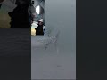 Video Thumbnail for Crazy Northern Pike Speed Attack