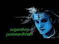 Mahamrityunjay Mantra Whatsapp Status Video 2019 Shiva Status Video Riya Music
