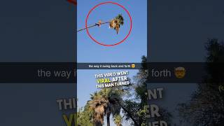 This guy has the craziest job ever 😳