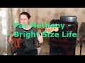 Pat Metheny/ Jaco Pastorius - Bright Size Life - bass cover