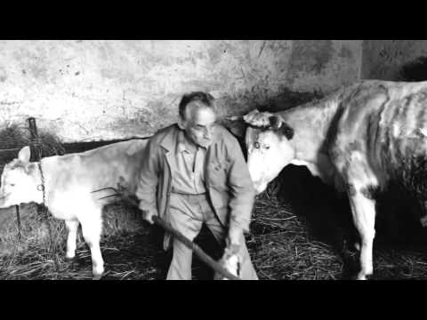 karcsúsító 50 hogyan lehet fogyni a mell alatt