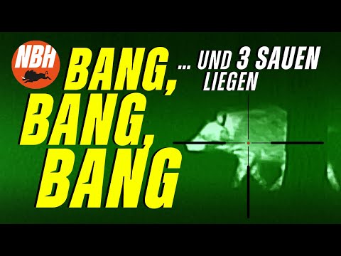 Bang, bang, bang, and three sows are down! AWESOME! What an evening - NIGHT BOAR HUNTER - Chris