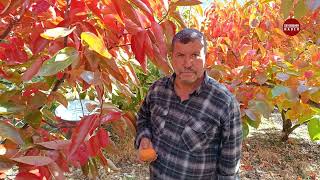 İlk ekerken deli dediler şimdi herkes bu üründen ekiyor