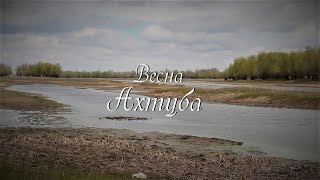 Ловля на ахтубе в апреле форум