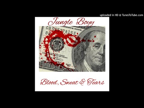 Jungle Boyy - Took Flight