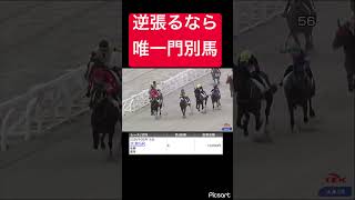【逆張り】圧倒的1人気に唯一逆張るなら門別転入馬しかいません #競馬