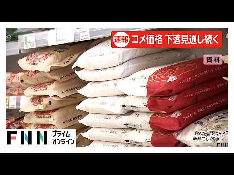 米価格はこの先も安くなるとの見通し続く　向こう3カ月の指数を8カ月連続で下回る（2026年06月04日）