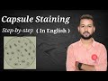 Capsule staining procedure in english | Anthony's capsule stain method | How to do a Capsule Stain