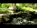 8 hours Water Sounds for Relaxation & Meditation - Relaxing Stream Waterfall - Babbling Brook Sound