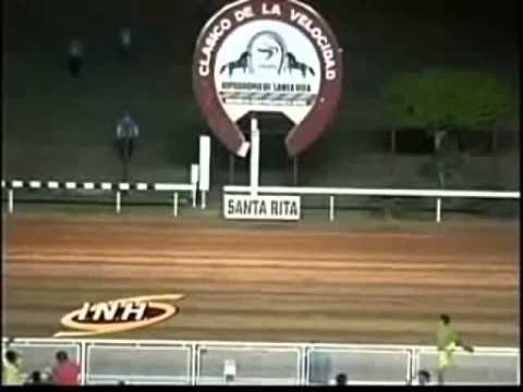 Resumen Viernes, 22 de Agosto de 2014 - Santa Rita