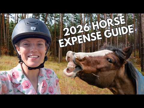 What It Costs To Own A Horse In 2026: Detailed Expense Guide