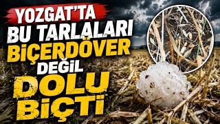 Yozgat'ta bu tarlaları biçerdöver değil dolu biçti