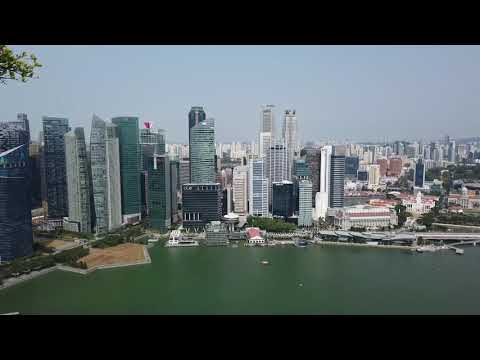 LIVE FROM SINGAPORE - Archie is scared of heights - Sentosa Island