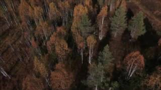 Shelter from the Storm cover by Andrew Crowe & Wicked Splinters